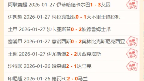 足球圈：森林渔翁撒网购人策略曝光，揭示神秘成功方程式及高额回报路径